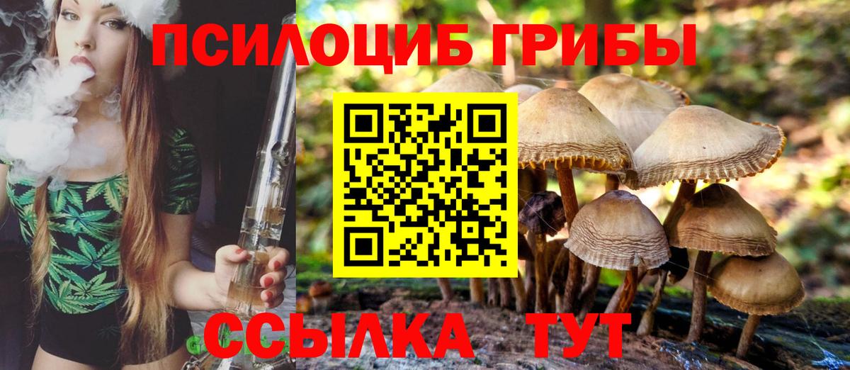 Новочебоксарск  Псилоцибиновые грибы GOLDEN TEACHER  Галлюциногенные грибы Psilocybine cubensis  Вход с VPN 